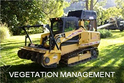 vegetation management arborcare qld